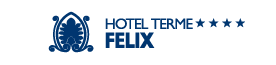 Logo DimHotels