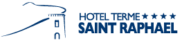 Logo DimHotels